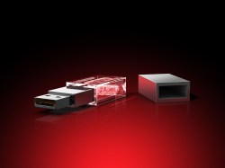 Fuchs - USB_Stick_Typ1_quer_einzeln_Seite_80